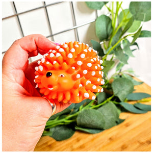 Hedgehog Orange