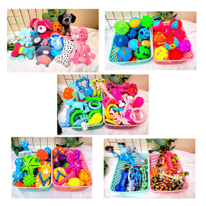 Kenny Koala Maxi Hampers