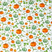 Load image into Gallery viewer, Pumpkin Patch Bow Ties
