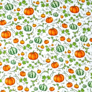 Pumpkin Patch Bow Ties