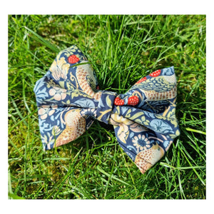 Surprise Bow Ties!