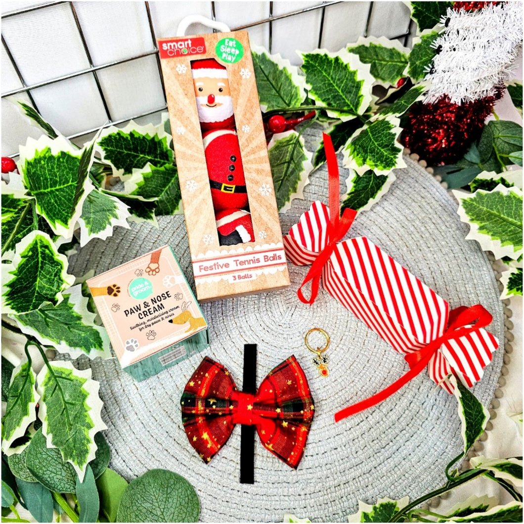 Santa Christmas Hamper