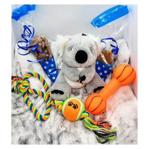 Kenny Koala Midi Hampers