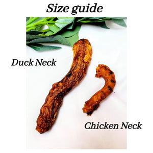 Duck Neck