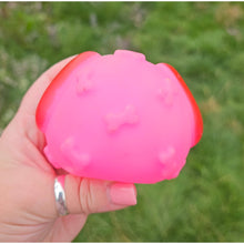 Load image into Gallery viewer, Squeaky Toy
