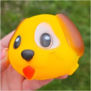 Dog Squeaky Toy