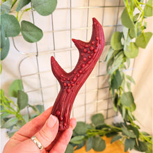 Load image into Gallery viewer, Antler Dental Chew

