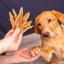 Load image into Gallery viewer, Duck Jerky 120g
