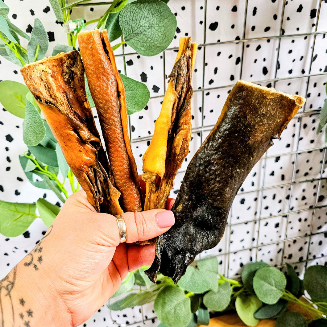 Wild Boar Skins
