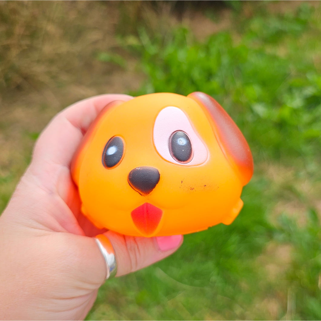 Squeaky Toy