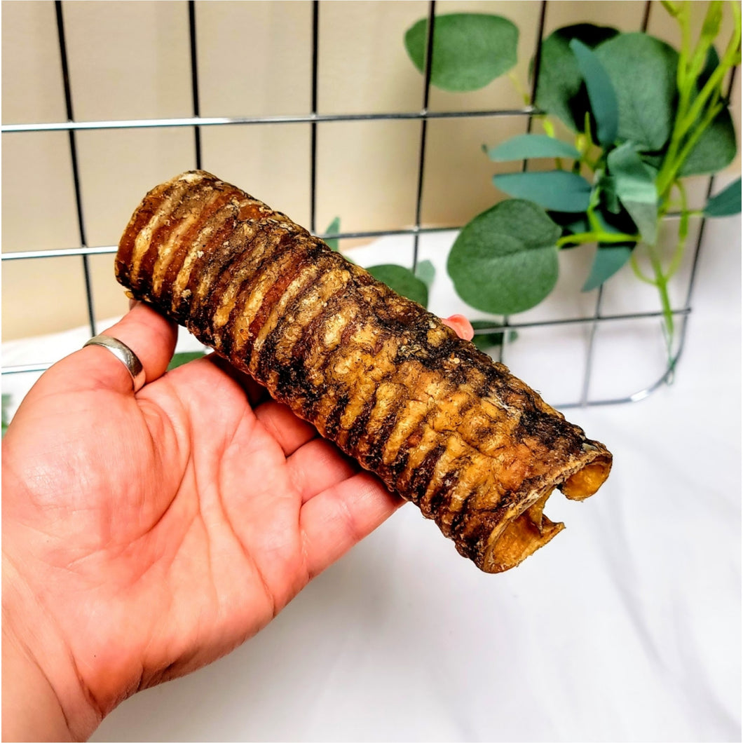 Beef Tracheas Medium