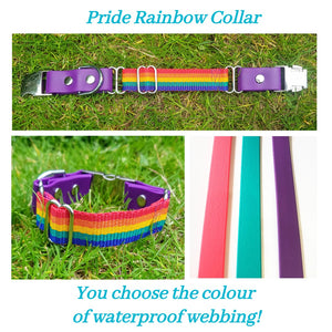 Rainbow - More Colours Available